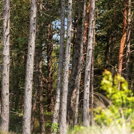 Dom wakacyjny 2551-romo-chresten-krommes-vej-5 *