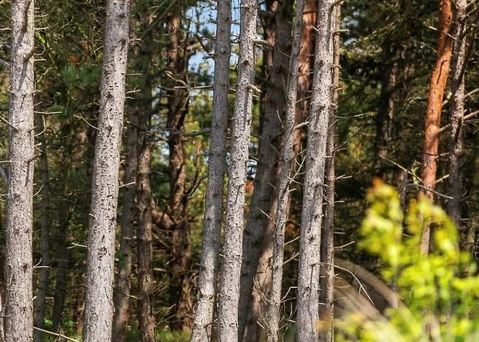 2551-romo-chresten-krommes-vej-5 Сasa de vacaciones